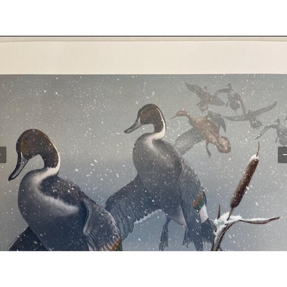 Phillip Crowe Snowy Refuge Signed Limited Edition Offset Lithograph Print - Picture 3 of 12